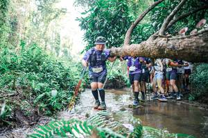 BIB: 
                            <button type="button" onclick="openModal(25472327)" class="btn btn-primary btn-sm float-right btn-popup" data-toggle="modal" data-target=".modal-high-quality">
                        <i class="fas fa-shopping-cart"></i> Add to Cart
                    </button>
                                            <button type="button" onclick="isThisMe(25472327, true)" class="btn btn-success btn-sm float-right btn-popup btn-isme hidden" data-toggle="tooltip" data-placement="bottom" title="นี่คือรูปของคุณใช่ไหม คลิกที่นี่เพื่อเอาเข้าอัลบั้ม">
                        <i class="fas fa-plus"></i> Add to album
                    </button>
                    <button type="button" onclick="isThisMe(25472327, false)" class="btn btn-warning btn-sm float-right btn-popup btn-isnotme hidden">
                        <i class="fas fa-ban"></i> Remove from album
                    </button>